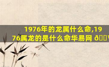 1976年的龙属什么命,1976属龙的是什么命华易网 🌼